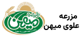 alavi